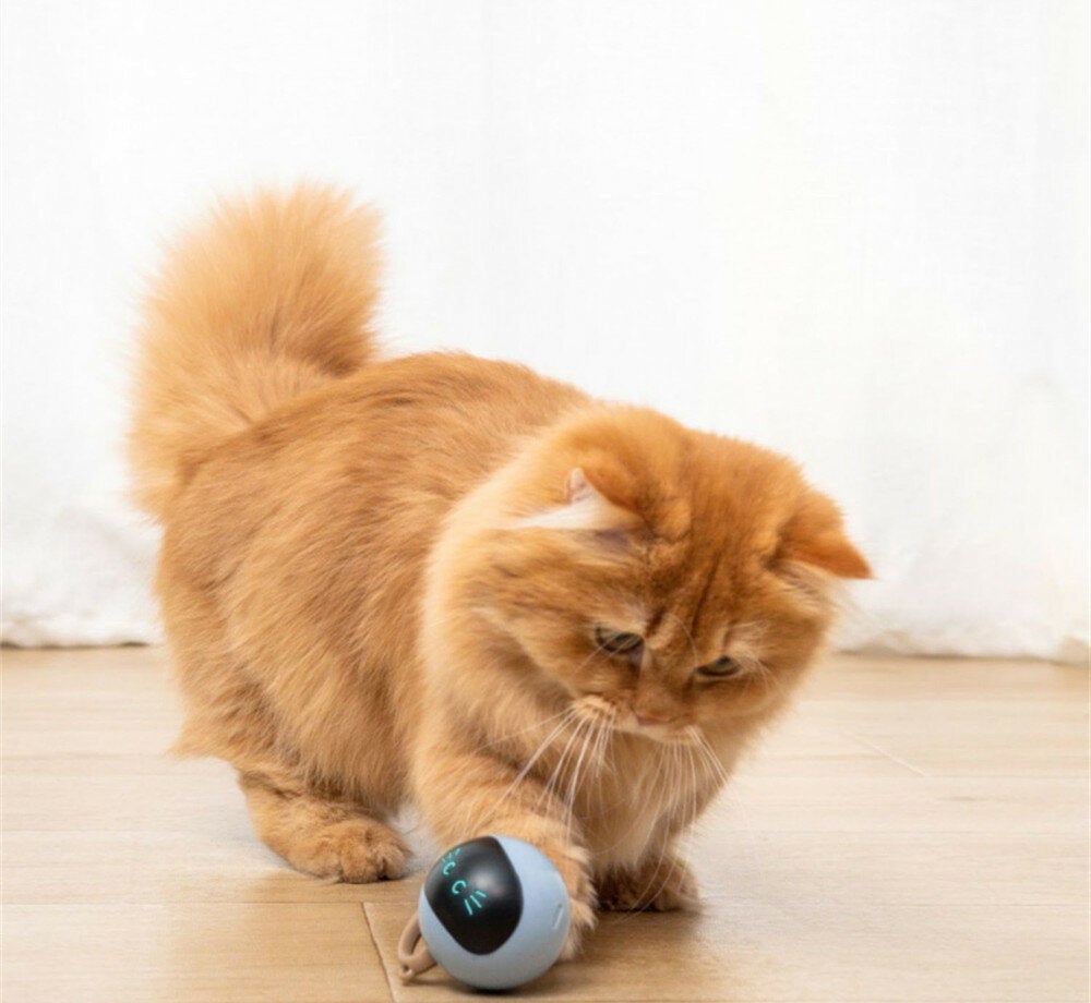 Cat Toys USB Charging Pet Balls 3 Minutes Standby Intelligent Escape Route Design for Cats