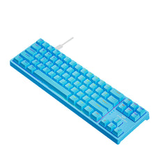 Mechanical Gaming Keyboard 71 Keys Blue/Red Switch Hot Swappable RGB Backlit Detachable Type-C Wired Keyboard