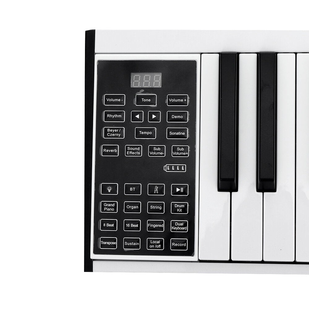 Pro 49/61/88 Keys Mobile Portable Electric Digital Piano Electric Keyboard