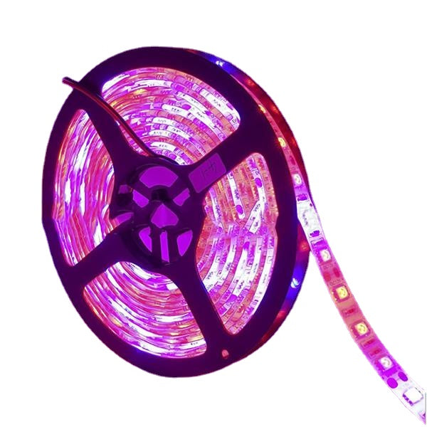 5M 3:1/4:1/5:1 Red:Blue 5050SMD 300LED Non-waterproof Hydroponic Plant Grow Strip Light DC12V