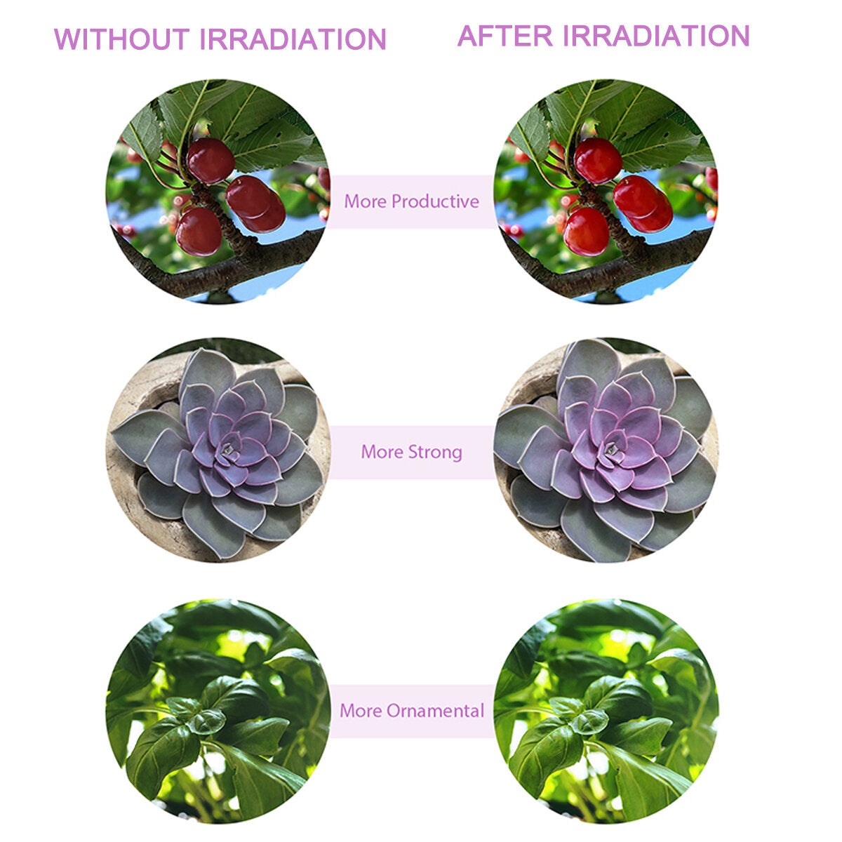 LED Grow Light Remote Control Plant Growing Lamp Lights with Tripod for Indoor Plants