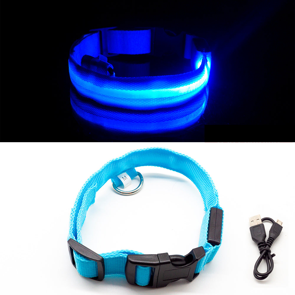 USB Charging Dog Collar Anti-Lost/Avoid Car Accident For Puppies 