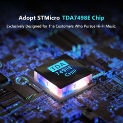 2 Channel Stereo Amplifier Mini Hi-Fi Class D Integrated Amp for Passive Speakers 160W x + 24V Power Supply