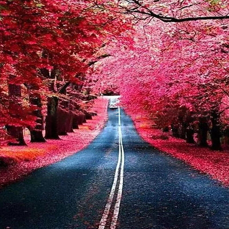 Diamond Painting Landscape Sunset Sea View Embroidery Cross Stitch Kit Painting DIY Home Decoration