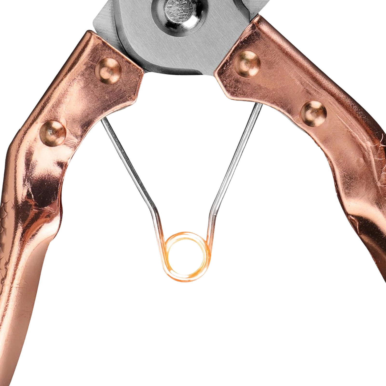 Steel Blade Secateurs