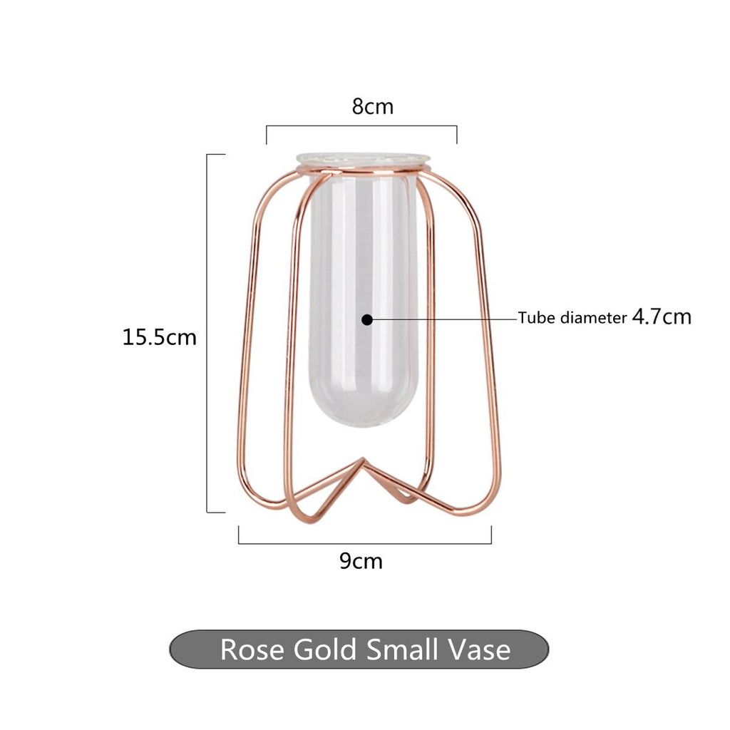 Glass Planter Test Tube Vase Pot + Retro Iron Stand Holder Plants Flowers Decoration