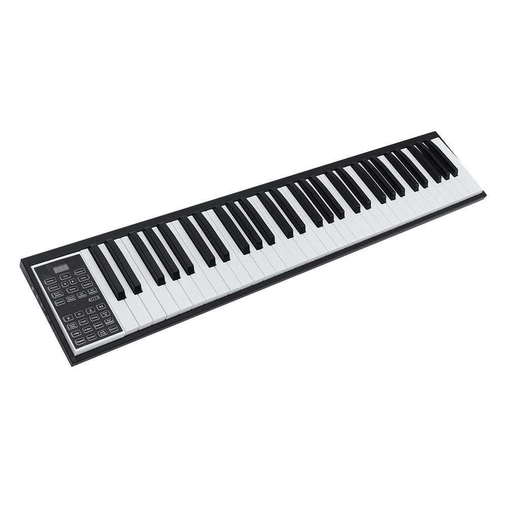Pro 49/61/88 Keys Mobile Portable Electric Digital Piano Electric Keyboard
