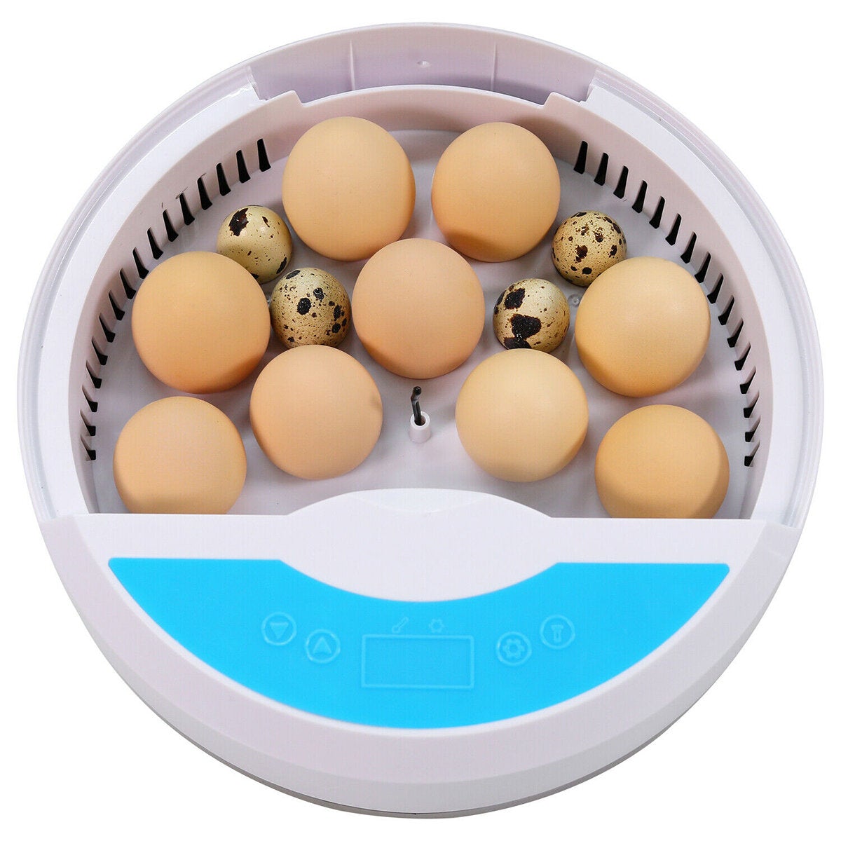 Mini Brooder Small Chicken Bird Egg Hatchers Incubator for Quail Parrot Duck
