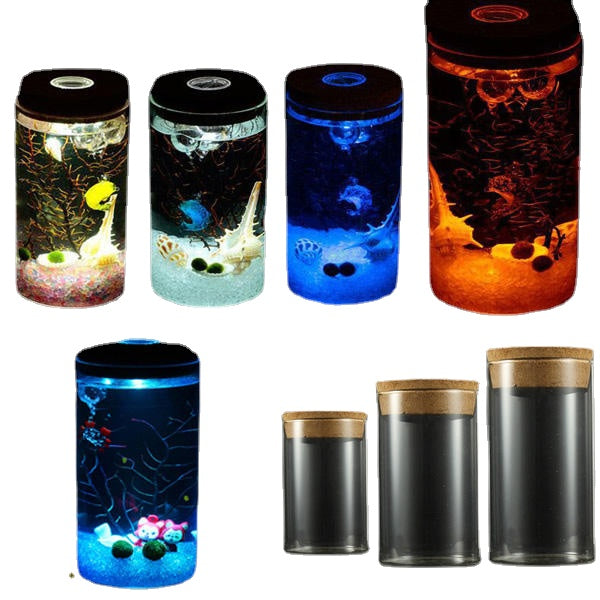 Micro Landscape Cylinder Glass Bottle with Colorful LED Light Succulent Plants Vase