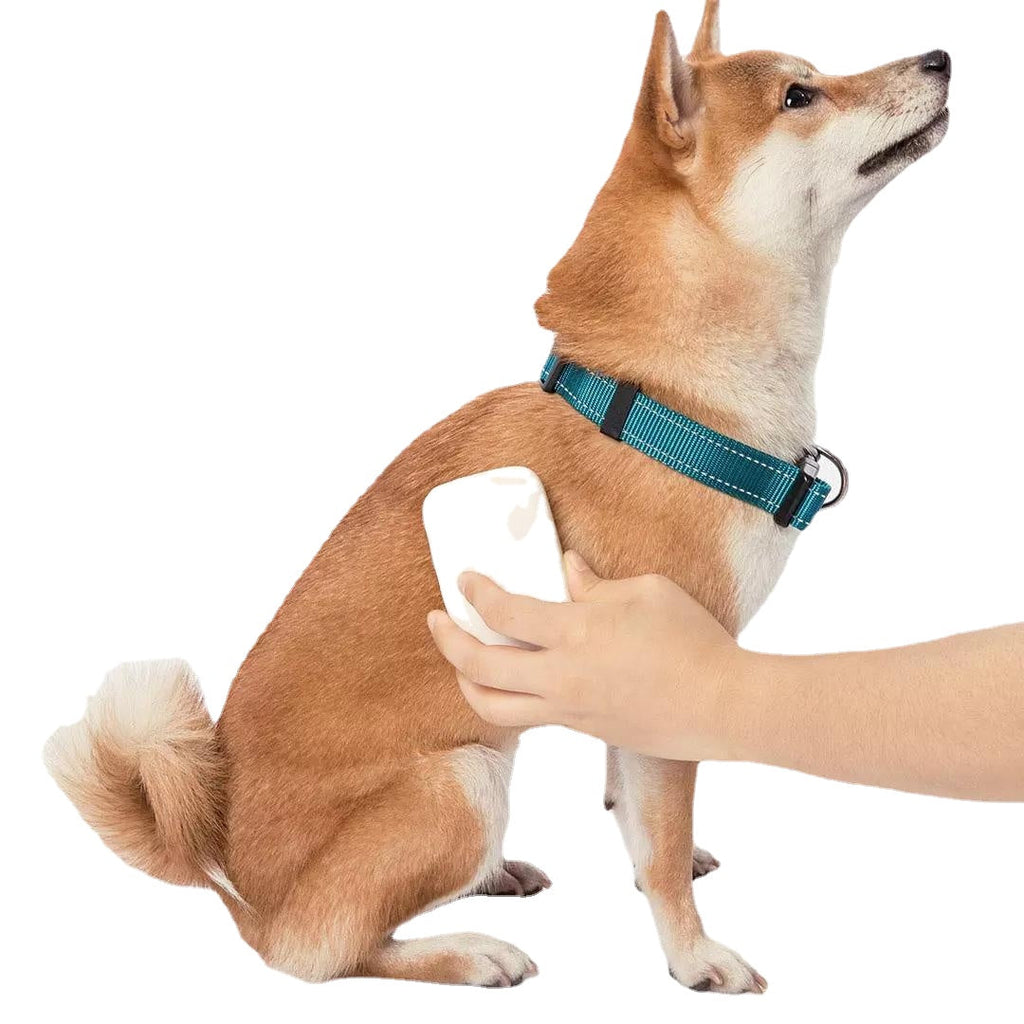 Pet Silicone Comb Massage Brush No Harm To Hair Environmentally Friendly Material Pets Brush Cleaning Tool