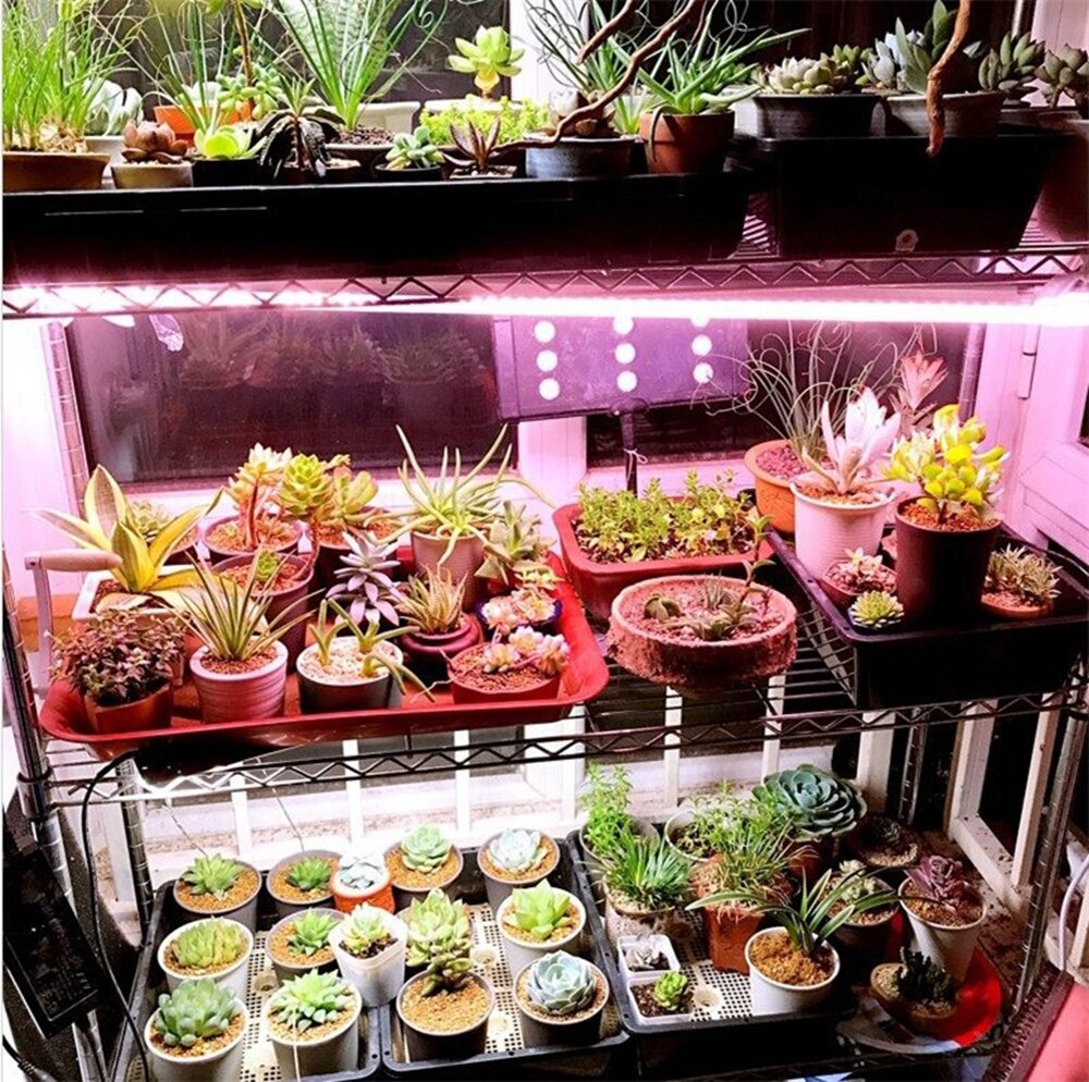 169/81 LED Plant Grow Light Full Spectrum Indoor Veg Flower Hydroponic Lamp 85-265V