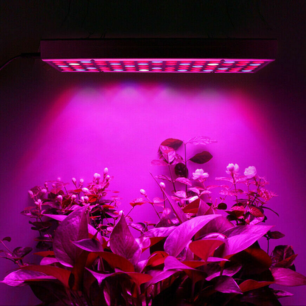 LED Grow Light Hydroponic Full Spectrum Indoor Plant Flower Growing Bloom Lamp 85-265V