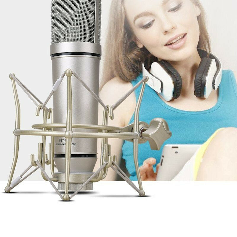 Condenser Microphone Recording Stand Set PC Computer K Song KTV Game Live Broadcast Karaoke DJ Audio Sound Card