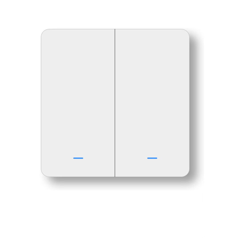 WiFi RF433 2Gang Push Button Wall Light Switch EU AC 100V-240V Smart Switch Compatible with Control Alexa Google Home