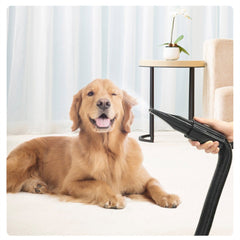 Pet Blowing Machine 2200W Low Noise Wam Wind Household Cat & Dog Fast Hair Dryer