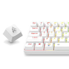 Mechanical Keyboard Triple Mode Hot Swappable Wired 2.4GHz Bluetooth 5.1 RGB 61 Keys ABS Keycaps Dareu Switch Rechargeable Gaming Keyboard