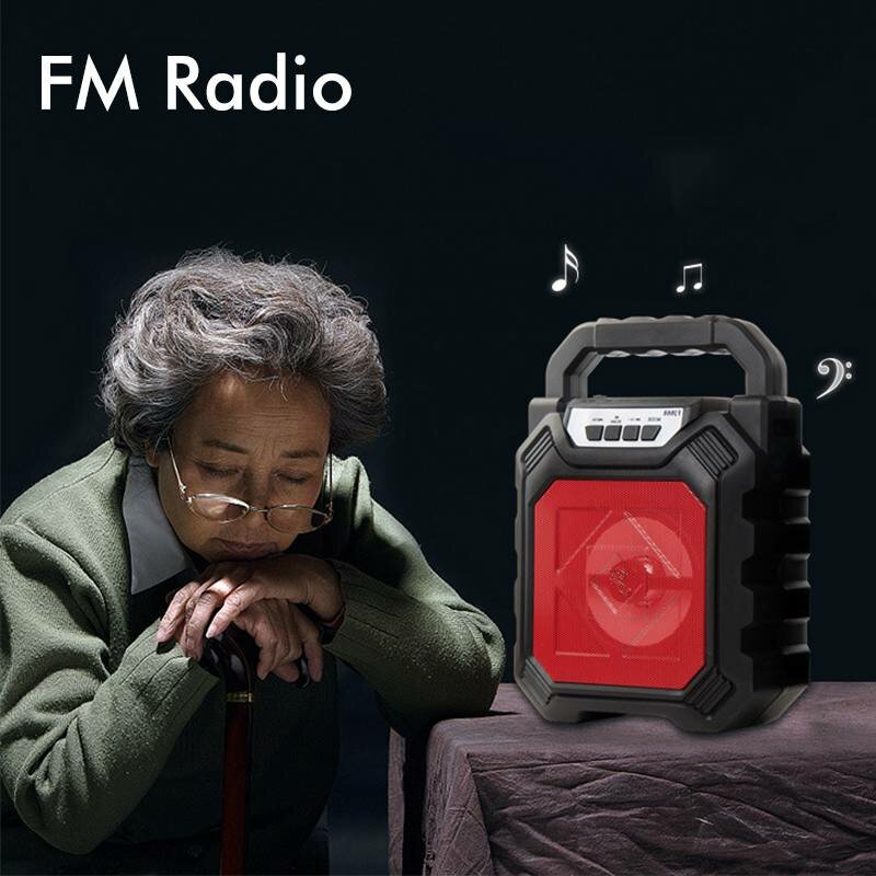 Outdoor Portable Wireless Bluetooth Speaker With Mic FM Radio Stereo Waterproof Soundbox Support AUX/USB/TF/FM