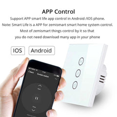Google Home Alexa Curtain Switch Blind Switches For Standard Roller Motor Slide Engine Wifi APP Siri Control