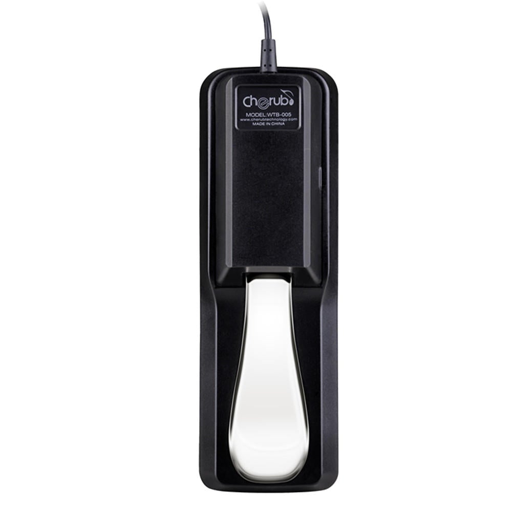 Metal Pedals Portable Damper Sustain Pedal for Keyboard Piano Instruments
