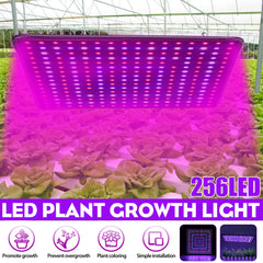 5000W LED Full Spectrum Plant UV Grow Light Veg Growing Lamp Indoor Hydroponic