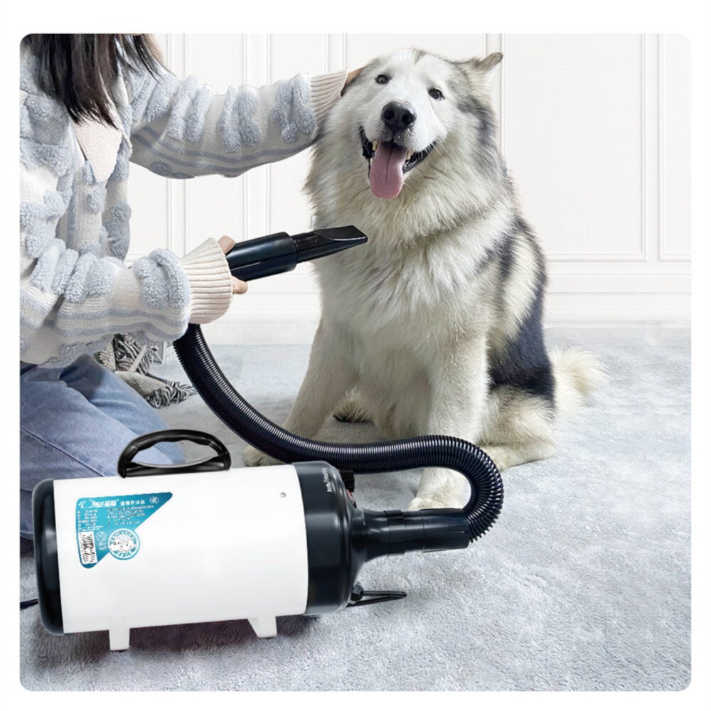 Pet Blowing Machine 2200W Low Noise Wam Wind Household Cat & Dog Fast Hair Dryer