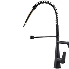 Kitchen Faucet with Flexible Pull-Down Sprayer