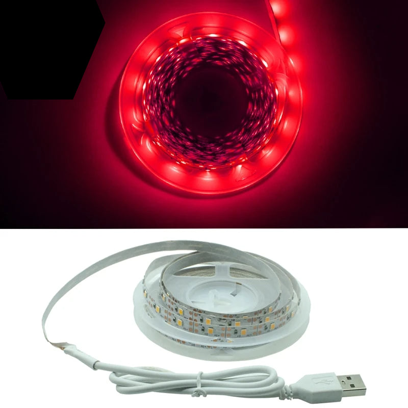 LED Flexible Strip Light Diode SMD 2835 Lamp
