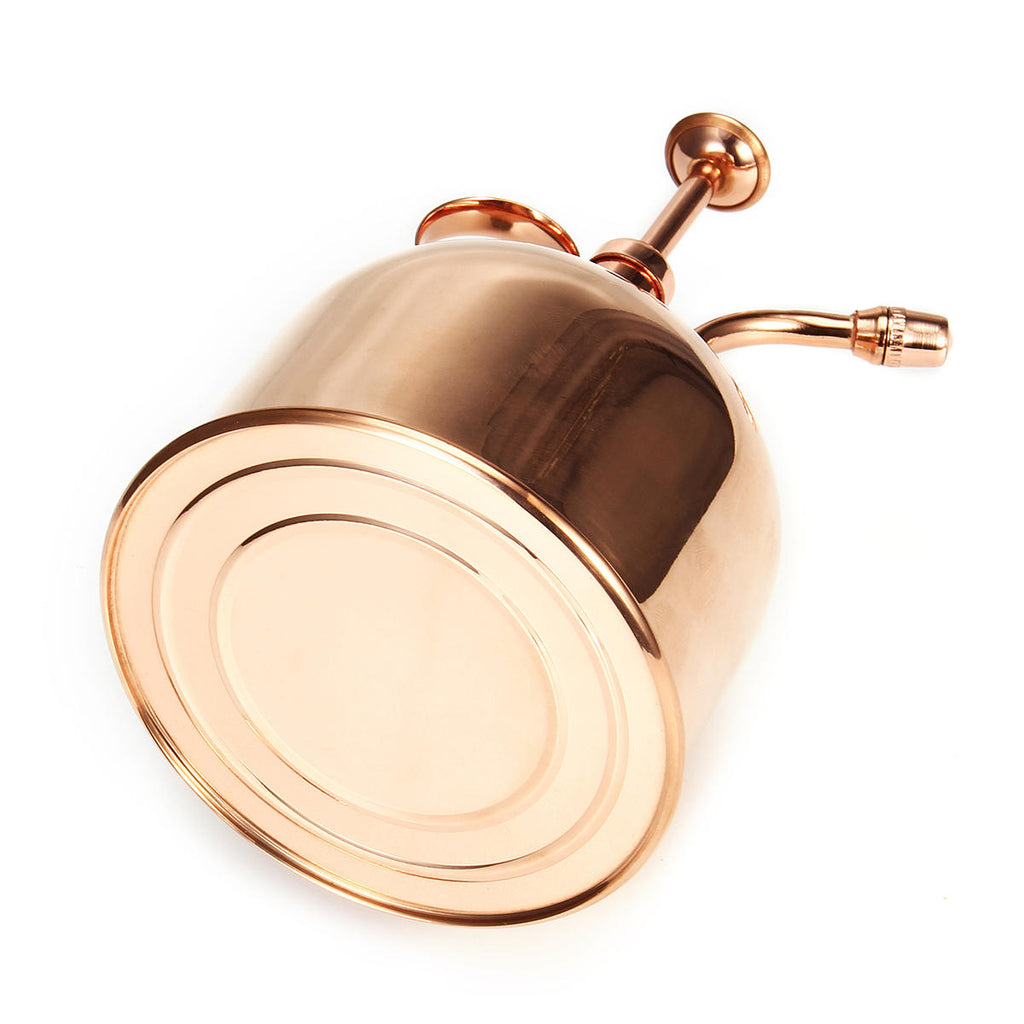 300mL Mini Brass Home Plant Mister Plunger Flower Water Spray Bottle Potted Spraying Watering Can Decorations