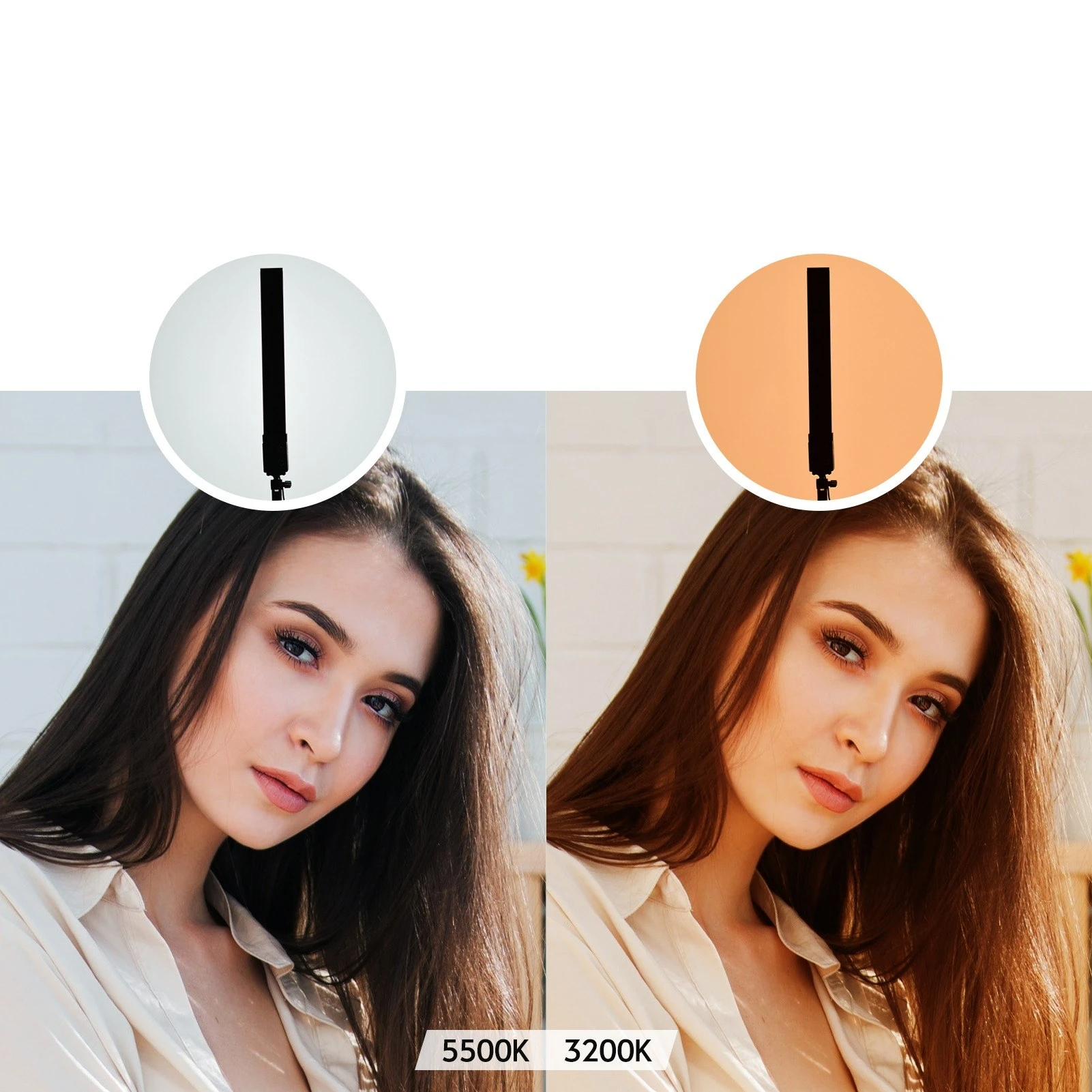 Photography Studio LED Lighting Kit