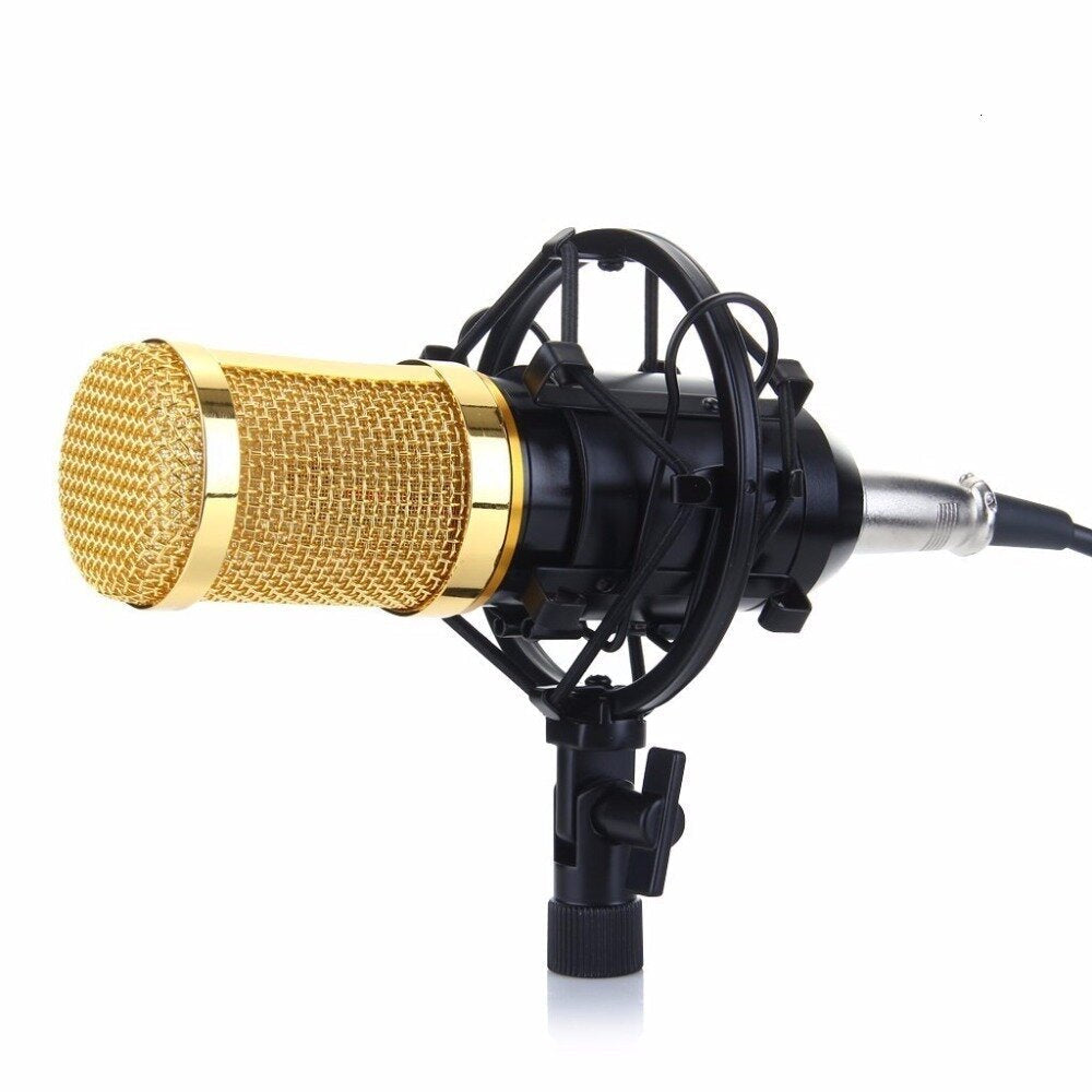 Professional Condenser Microphone Studio Broadcasting Singing Audio Recording Mic