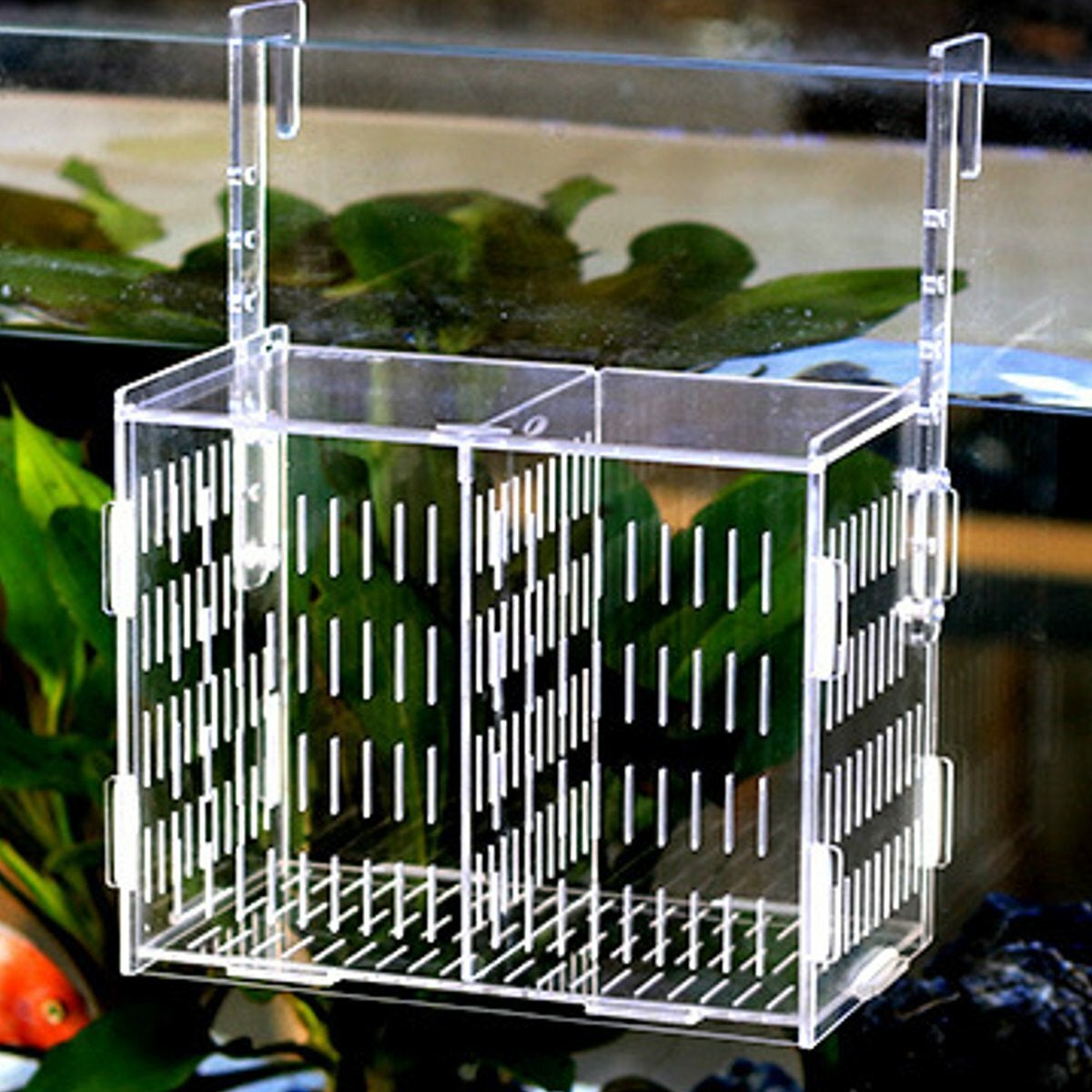 Large Aquarium Acrylic box isolation Incubator Breeding Fish Tank Breeder Hatching