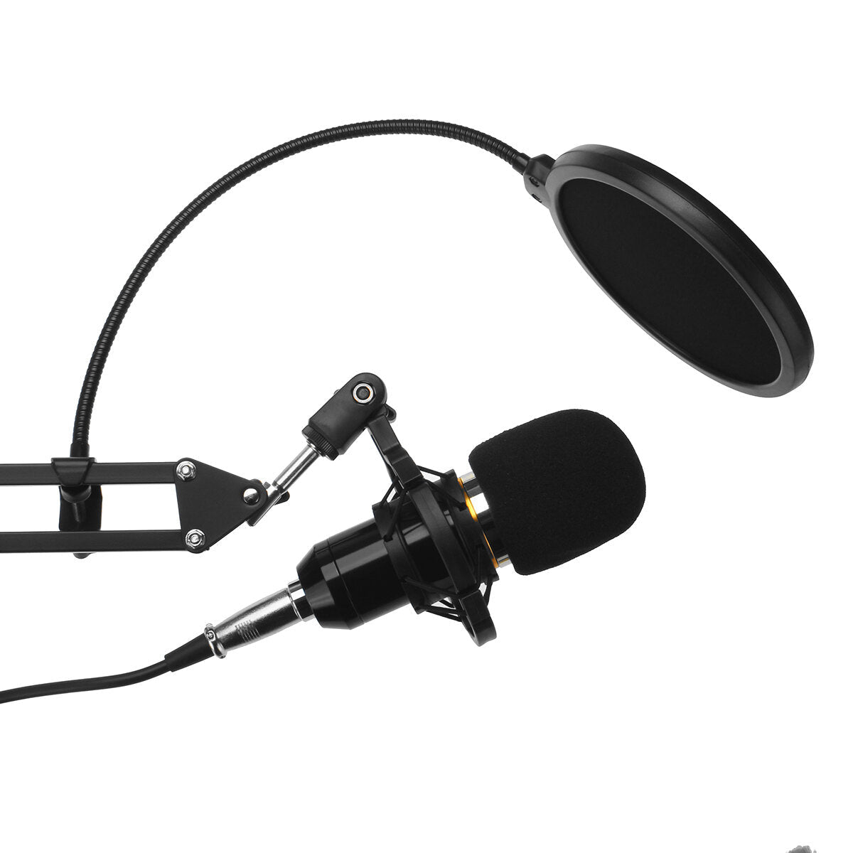 Microphone with Flexible Arm Mic Suspension Boom Scissor Stand Holder