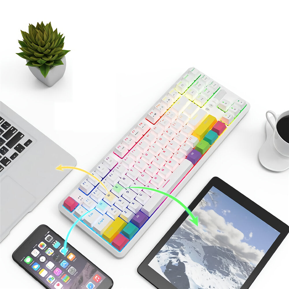 87 Keys Mechanical Keyboard RGB Wireless Bluetooth + Type-C Wired Dual Mode Mechanical Switch Gaming Keyboard