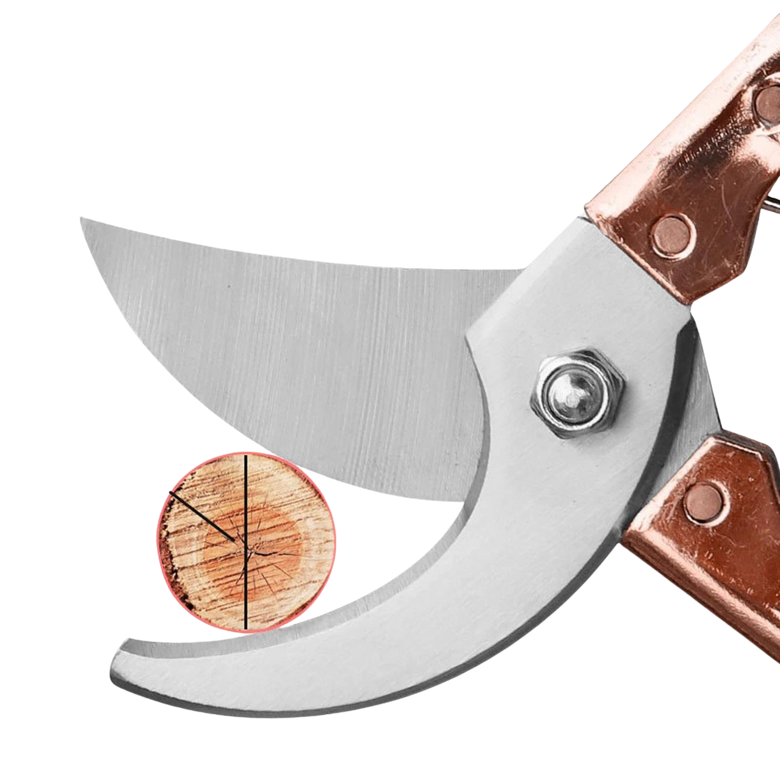 Steel Blade Secateurs