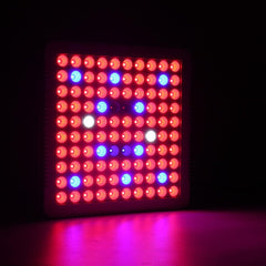 300W LED Grow Light Hydroponic Full Spectrum For Veg Flower Indoor Plant Seeds