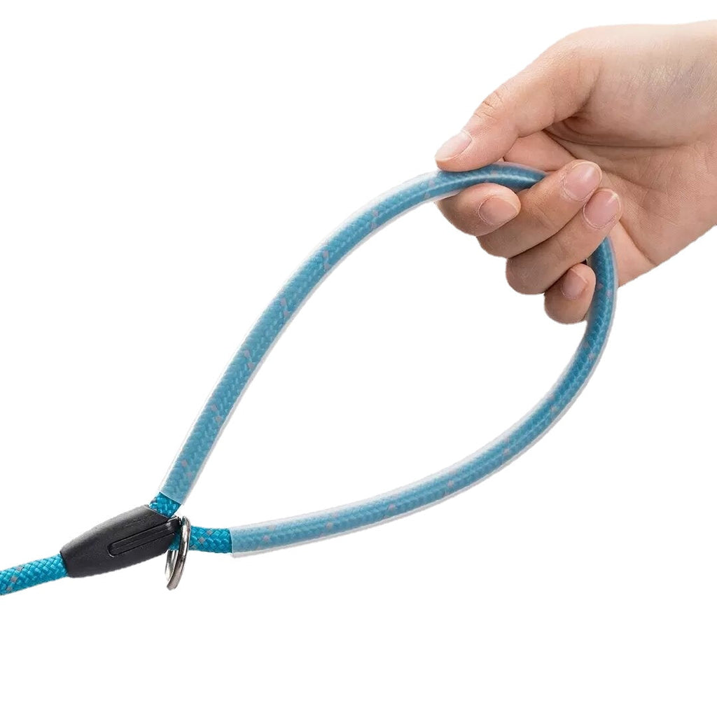 Pet Cat Dog Outdoor Sports Lead Leash Single And Double Traction Rope And Breathable Dual Reflective At Night