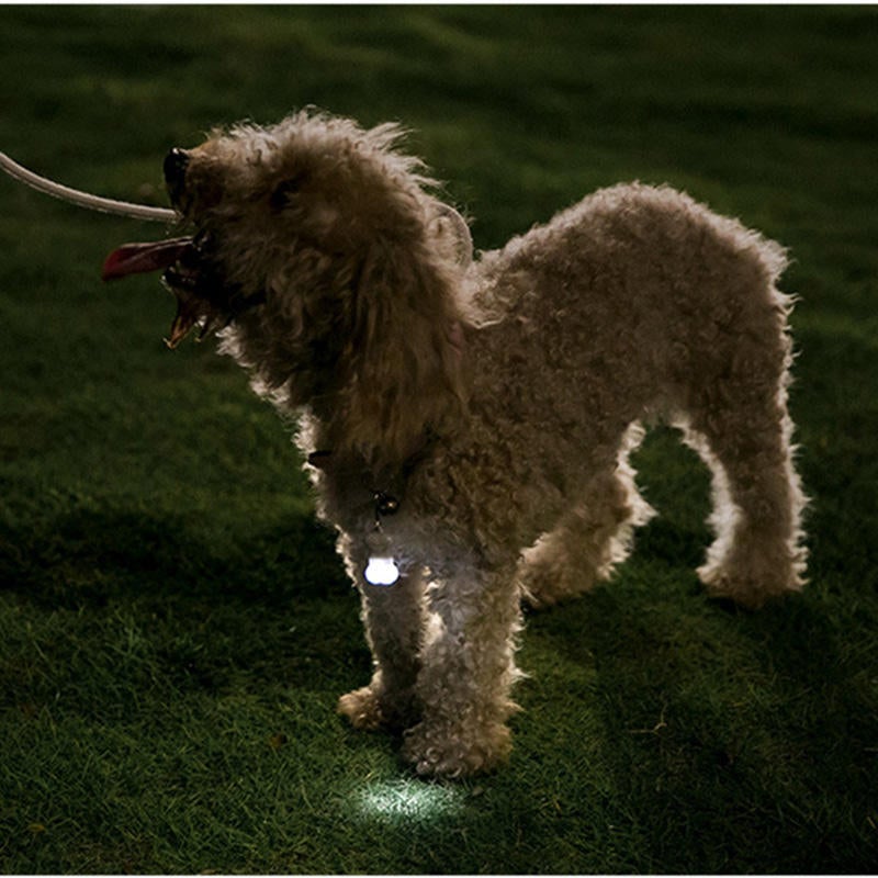 Bone Label Light Pet Tag Light Bulb Outdoor Dog Floodlight Missing Warning Light Pet Supplies
