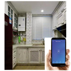 Smart Switch Touch Panel Voice Remote Control Timer Outdoor Water Heater Switches Work with Alexa Google Home For Smart Home