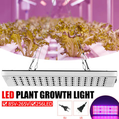800W LED Grow Light Full Spectrum Growing Plant Lamp For Hydroponics Veg Indoor