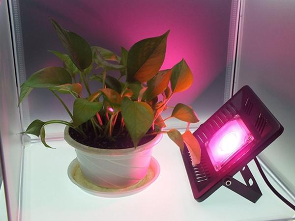 AC170-300V 50W Full Spectrum LED Plant Grow Flood Light Waterproof Ultra Thin For Indoor Ourdoor