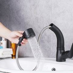 Kitchen Mixer Taps Pull Out 360 Swivel Spout Spray Sink Basin Brass Faucet