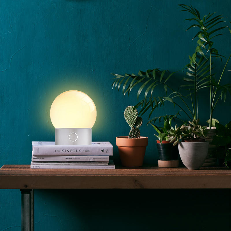 Night Light 650mAh LED 5W USB Charging Portable Light Bulb Touch Control Night Light