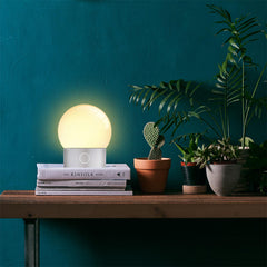 Night Light 650mAh LED 5W USB Charging Portable Light Bulb Touch Control Night Light
