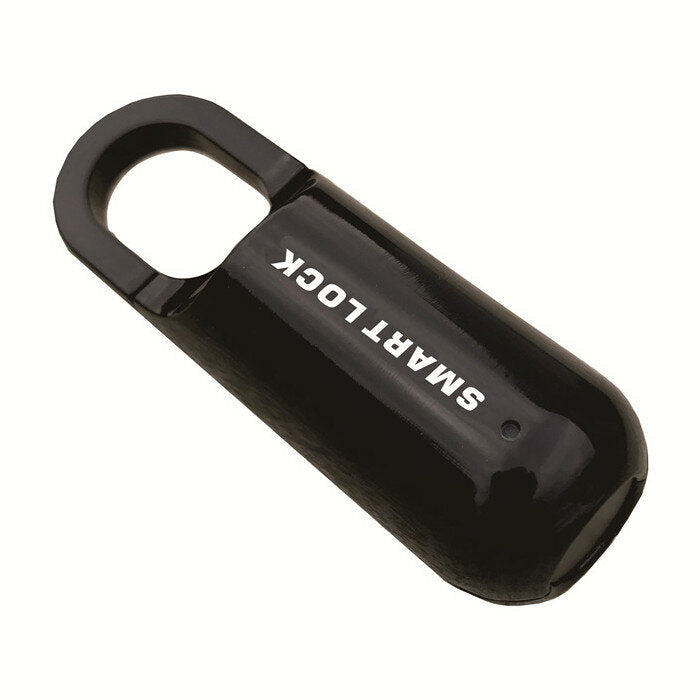 Smart Fingerprint Padlock Waterproof Keyless Anti-Theft Security Lock USB Charging For Locker Travel Luggage Package House Door Suitcase