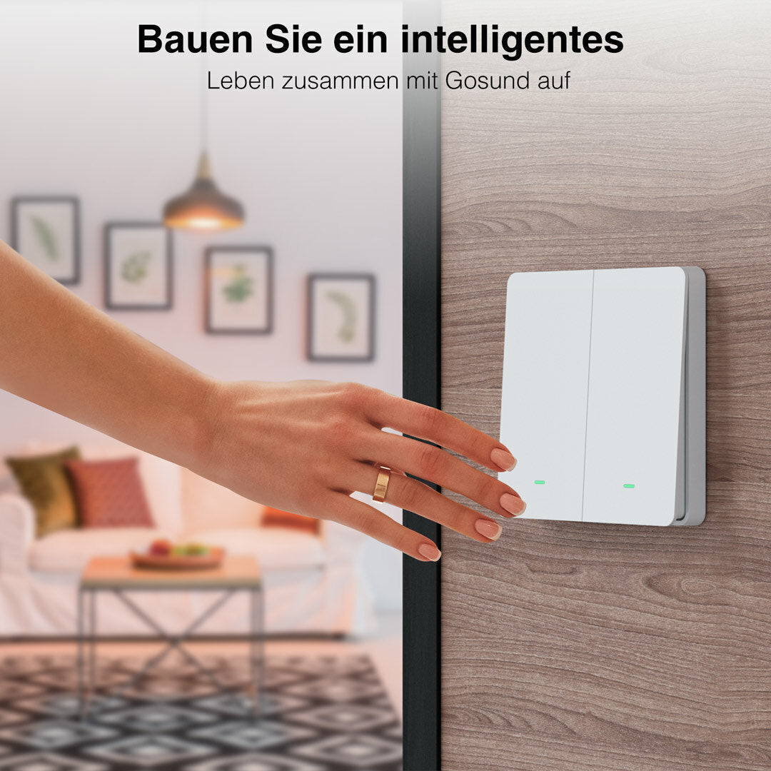 Smart Light Switch WIFI Wall Switch EU TYPE Voice Control 2 Gang 10A 230V 2.4Ghz WIFI Remote Control Smart Switch Works With Alexa And Google Home