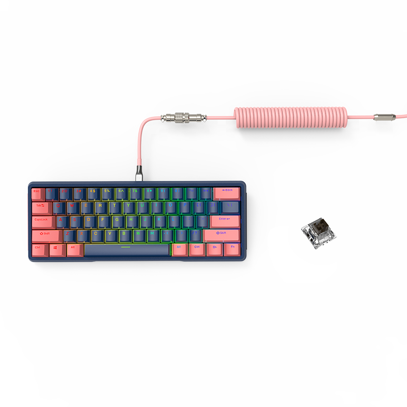 DIY 61 Key Gaming Mechanical Keyboard With Hot swappable OEM RGB Lighting Effect Coiled Cable Mini Wired Keyboard