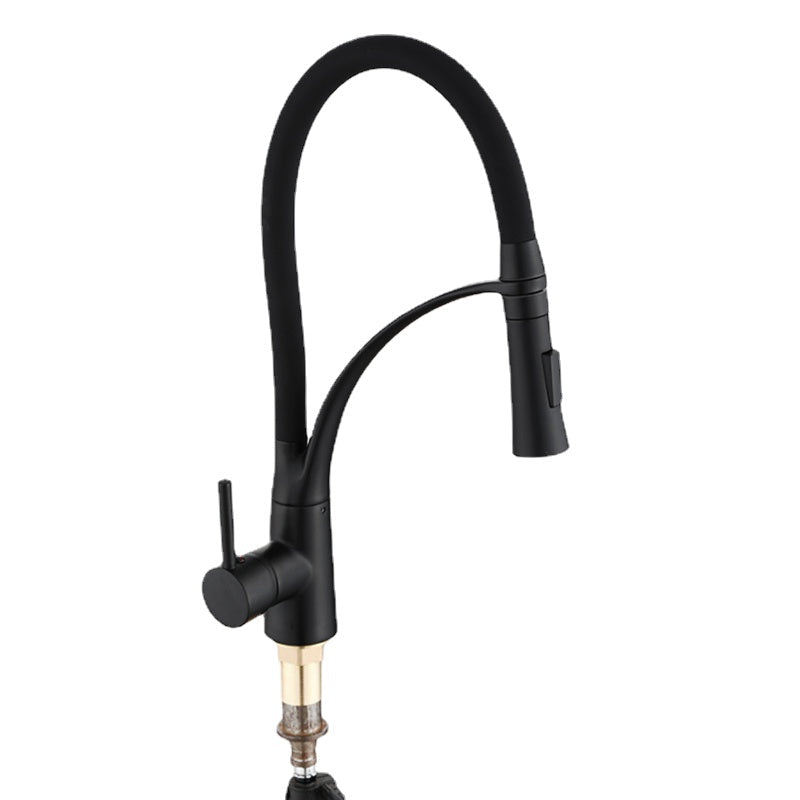 Painted Black Kitchen Sink Faucet Sprayer Brass Mixer Tap Two Water Modes 360 Rotation Single Handle