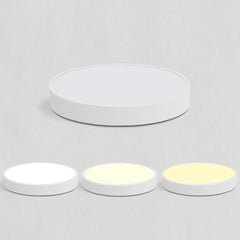 Ultra-thin Balcony Children's Room LED Ceiling Lamp with Remote Control 48W White
