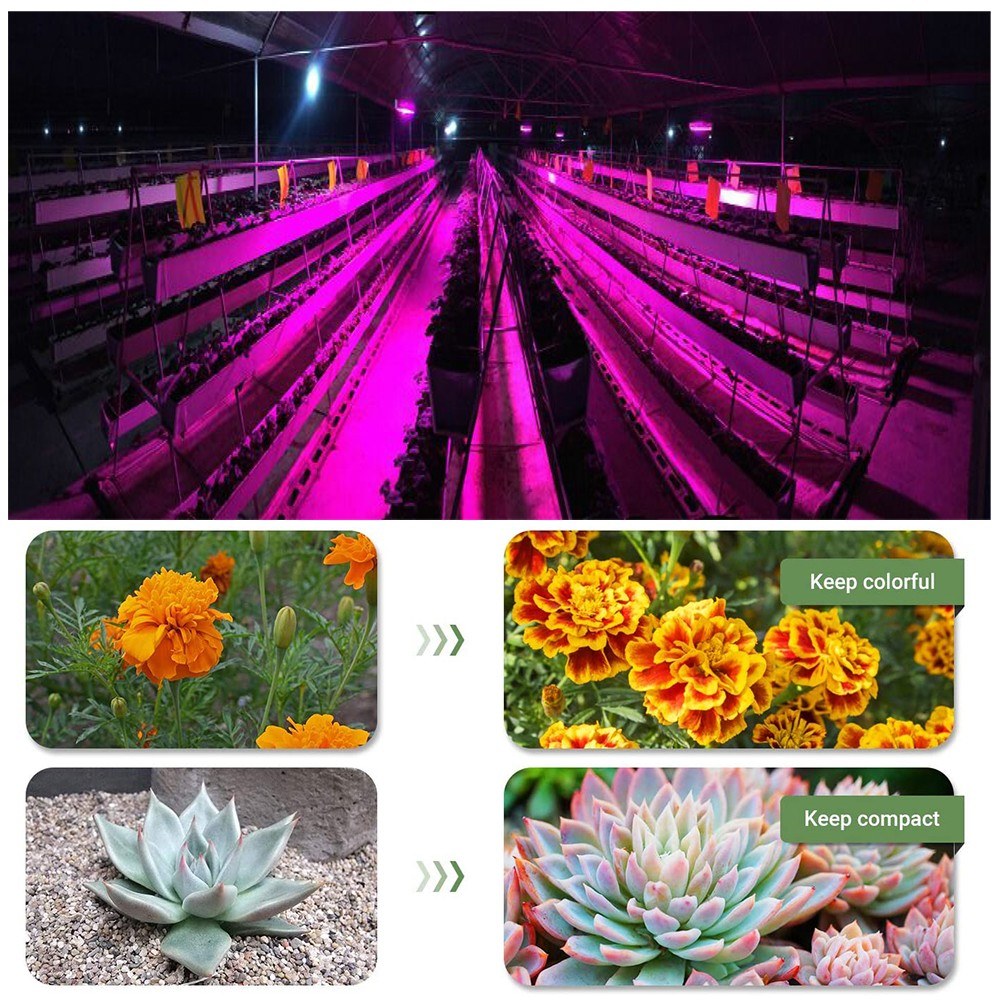 LED Grow Light Bulbs Full Spectrum UV IR Hydroponic Growing Lamp for Greenhouse Seed Starting