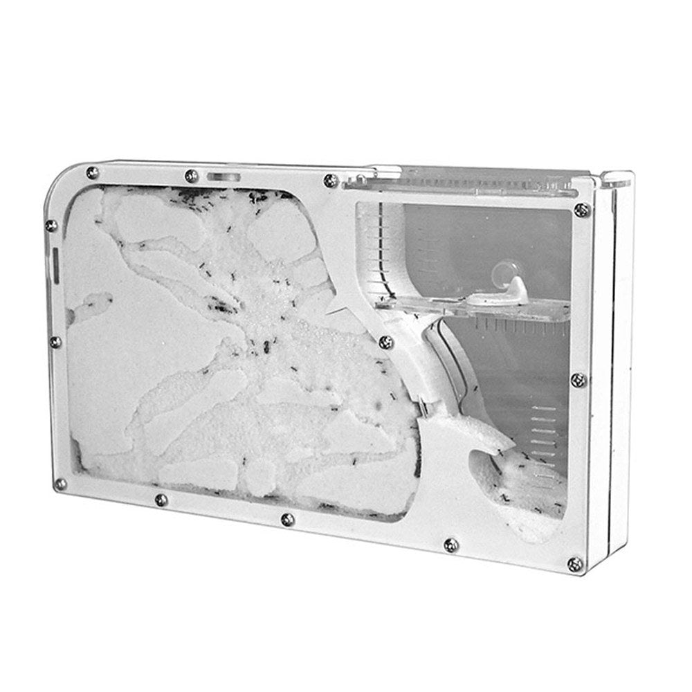 DIY Antgranery Moisture Feeding Area Acrylic Ant Farm Ants House